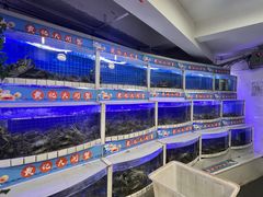 -黄记大闸蟹专卖店·活蟹·醉蟹