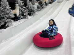 -世界之窗阿尔卑斯冰雪世界