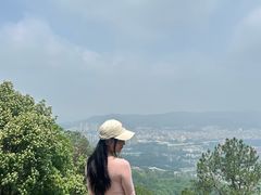 -火炉山森林公园