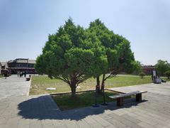 -九龙壁