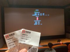 -华美国际影城(旧宫永辉店)