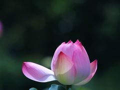 -长广溪湿地公园