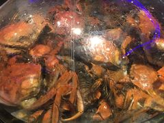 -乔哥铭洋海鲜自助(皇城恒隆广场店)