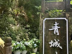 -青城山