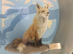 -陕西自然博物馆