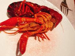 酒糟小龙虾-阿纳迪酒店·秘境西餐厅