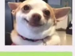 -周鱼小馆石锅酸菜鱼(活力汇店)