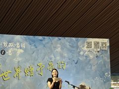 -合肥大剧院