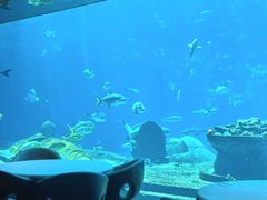 -亚特兰蒂斯•OSSIANO奥西亚诺海底餐厅