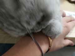 -Oasis绿洲银饰珍珠手作diy(壹方城店)