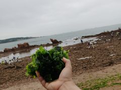 -八大关景区