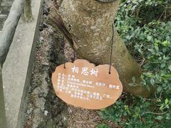 -海口火山口国家地质公园