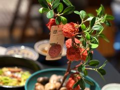 妃子笑-长安大牌档之龙头酒肆(荣民龙首广场店)