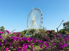 -观澜湖生态运动公社