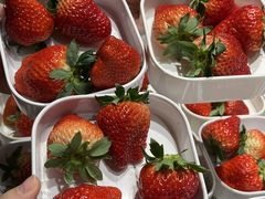 -水之梦(黄浦店)