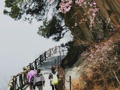 -少华山国家森林公园