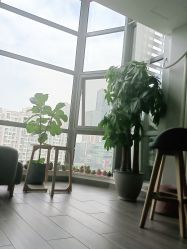点击看大图 -L.MJ轻奢皮肤管理中心