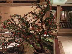 -顺峰(农展馆店)