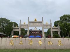 -庐山风景名胜区-东林大佛