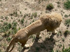 -新疆天山野生动物园