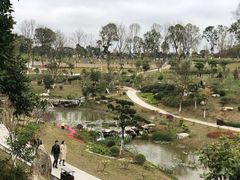 -东莞植物园