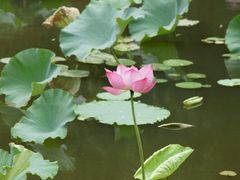 -韶山毛泽东同志故居