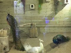 -洛阳龙门海洋馆