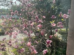 -扬州瘦西湖汇金酒店