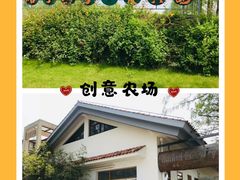 -前小桔亲子创意农场·草莓采摘·露营烧烤