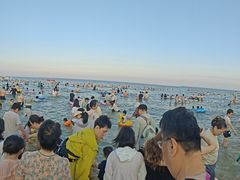 -日照海滨国家森林公园