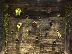 -一只烧鸡公(解放碑店)