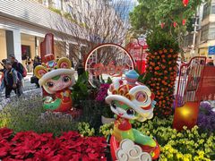 -越秀西湖花市(广州城市广场花卉店)