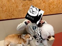 -和它·交个朋友·狗咖猫咖(爱琴海店)