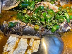 -探鱼·鲜青椒爽麻烤鱼(天一广场店)