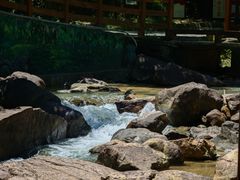 -广州白江湖森林公园