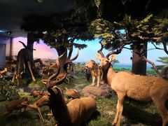 -国家自然博物馆