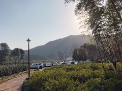 -午潮山国家森林公园