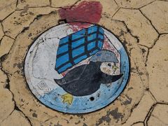 -芜湖新华联大白鲸海洋公园