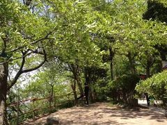-灵岩山风景区
