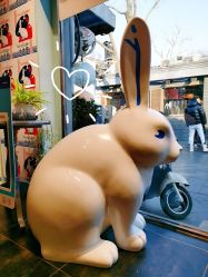 大堂-大白兔奶糖(南锣鼓巷店)