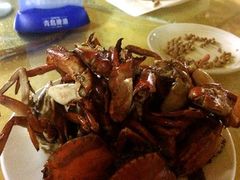 -莲花公园煎蟹(总店)