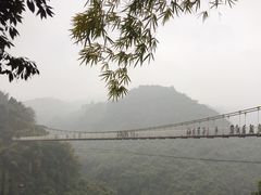 -川西竹海景区