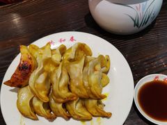 鲜肉锅贴-共和春(甘泉路店)