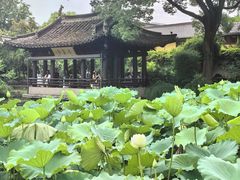 -兰亭风景区