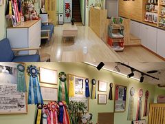 -猫十亿·布偶金渐层·曼基康矮脚猫舍(青年路店)