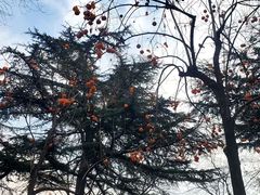 -北京晚报·北京日报社