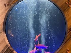 -莉莉海堂HAITANG·烤鸭(国贸商城店)