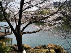 -白马涧龙池景区