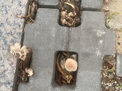 -时尚天河商业广场