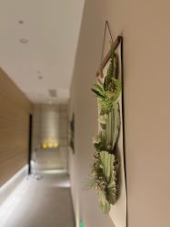 点击看大图 -恒美雅轩·品牌直营连锁